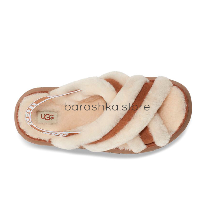 Disco Cross Slide Chestnut -  Barashka.Store