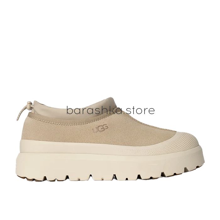 Tasman Weather Hybrid Mustard Seed / Cream -  Barashka.Store