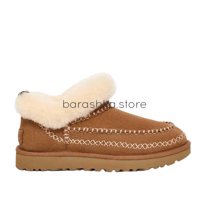 Classic Ultra Mini Alpine Chestnut -  Barashka.Store