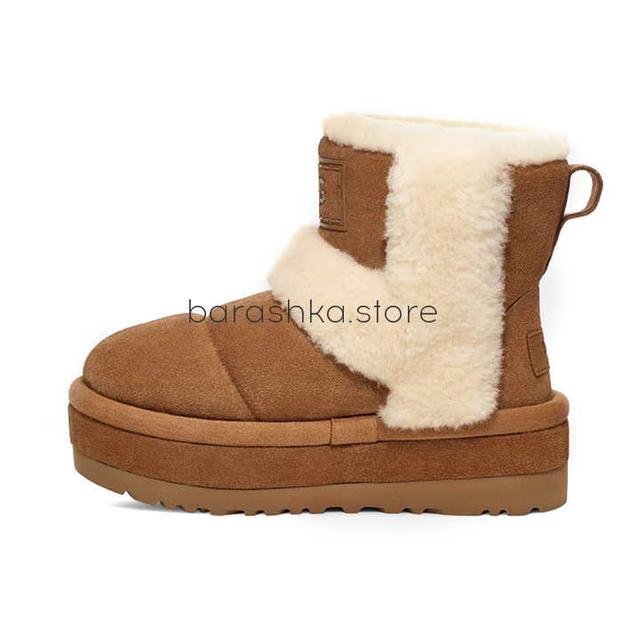 Classic Chillapeak Chestnut -  Barashka.Store