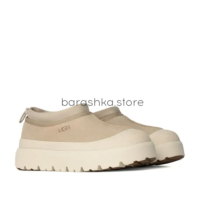 Tasman Weather Hybrid Mustard Seed / Cream -  Barashka.Store