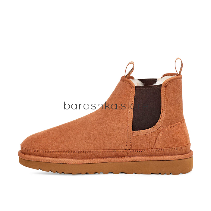 Chelsea Men's Chestnut -  Barashka.Store