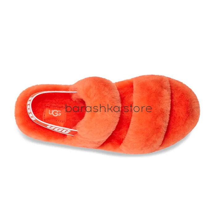 OH YEAH Orange -  Barashka.Store