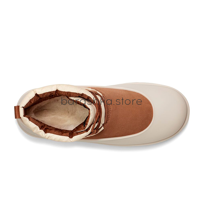 Classic Mini Lace-Up Weather Chestnut / Whitecap -  Barashka.Store